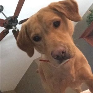 Meet your Posher, Jacob